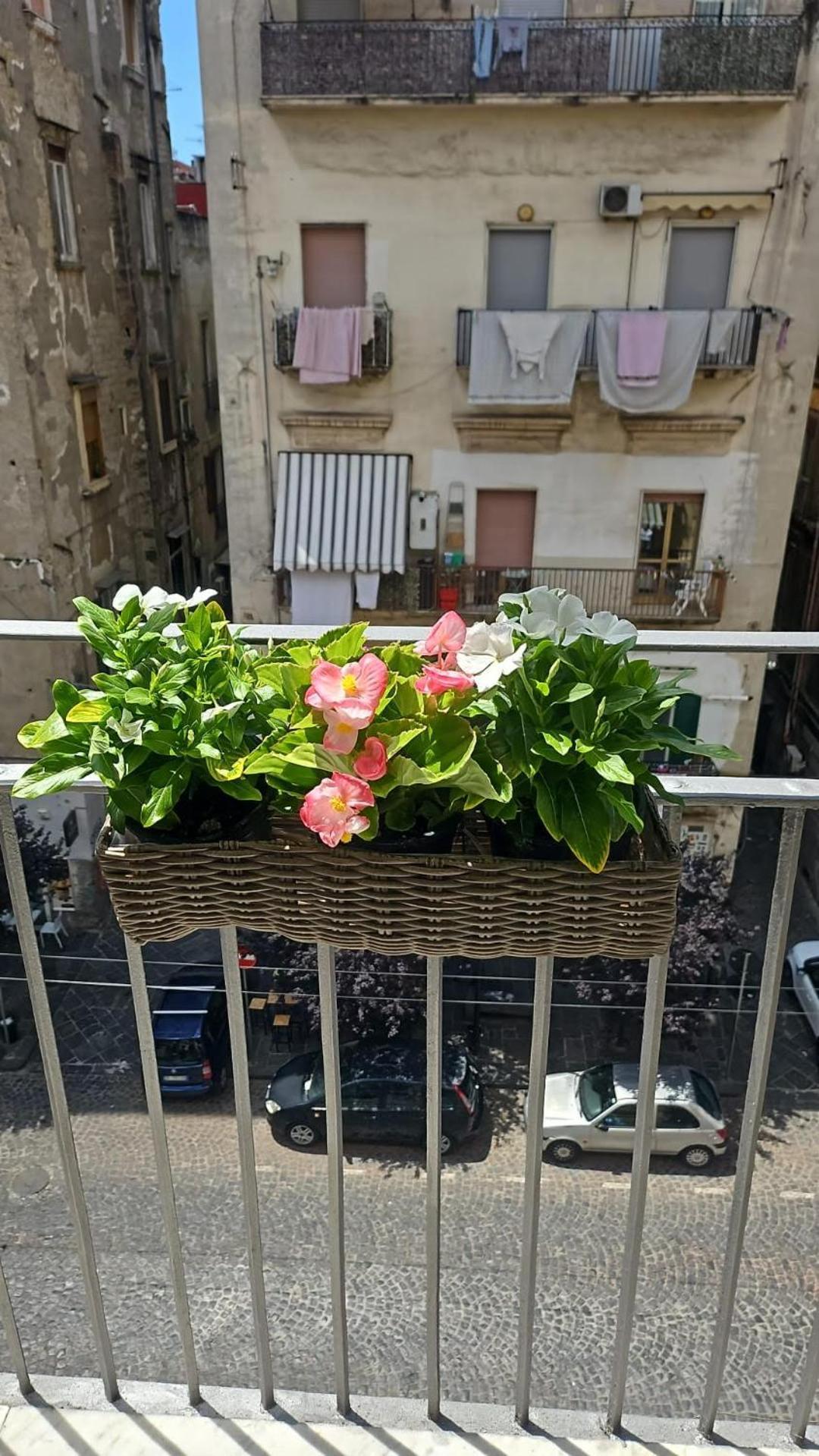Tresette Porta Capuana *